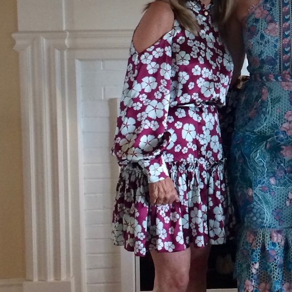 Alexis Audrina Floral-Print Silk Dress - Picture 4 of 4